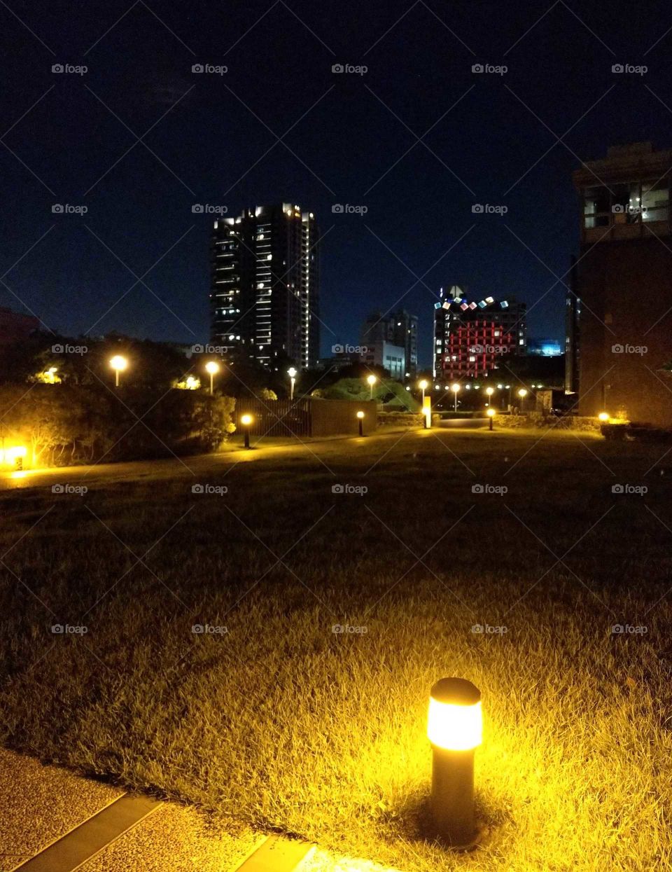 Light: natural vs artificial. the nightscape of a corner of fine arts museum park.