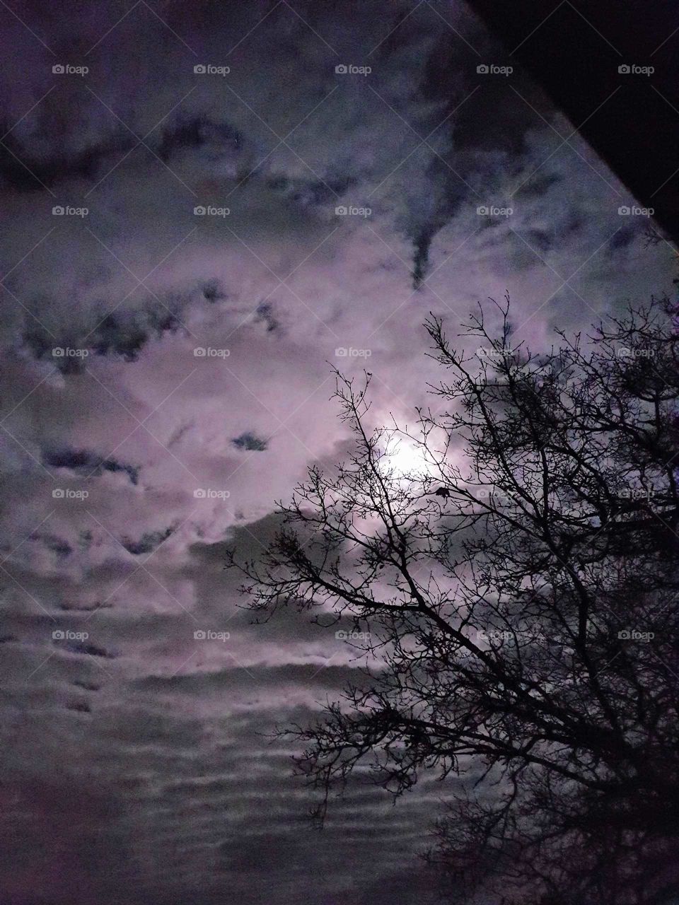 sky at night