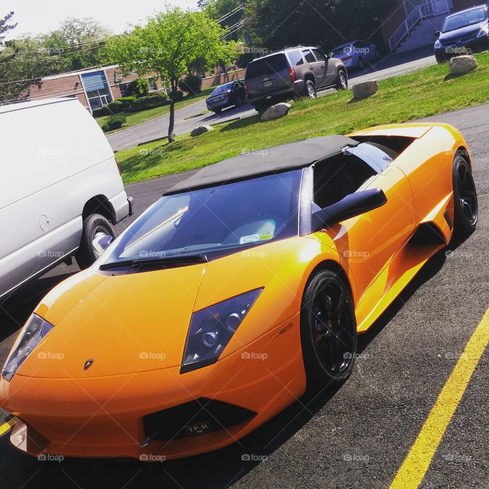 lamborghini. saw this car on the way into work, hopefully my future car 