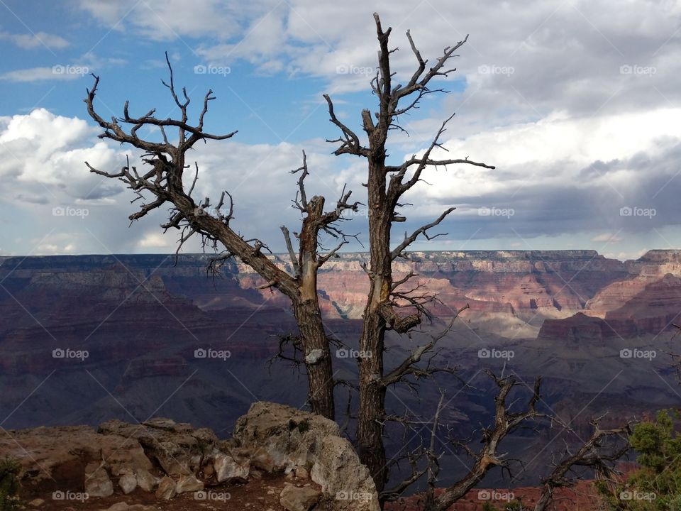 Death at the Canyon..