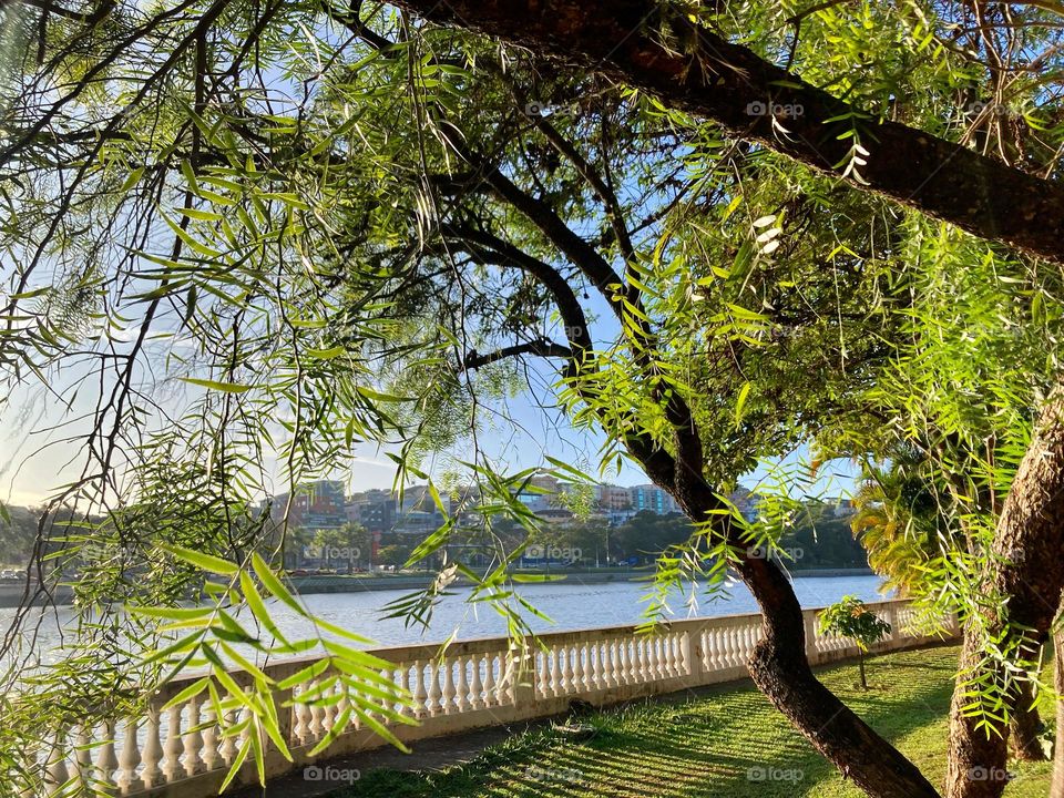 A foto bonita nesta 3a feira foi essa aqui: o sol raiando no Lago do Taboão, em Bragança Paulista!

Como um dia bonito inspira nossa rotina, não?

Veja só que beleza: