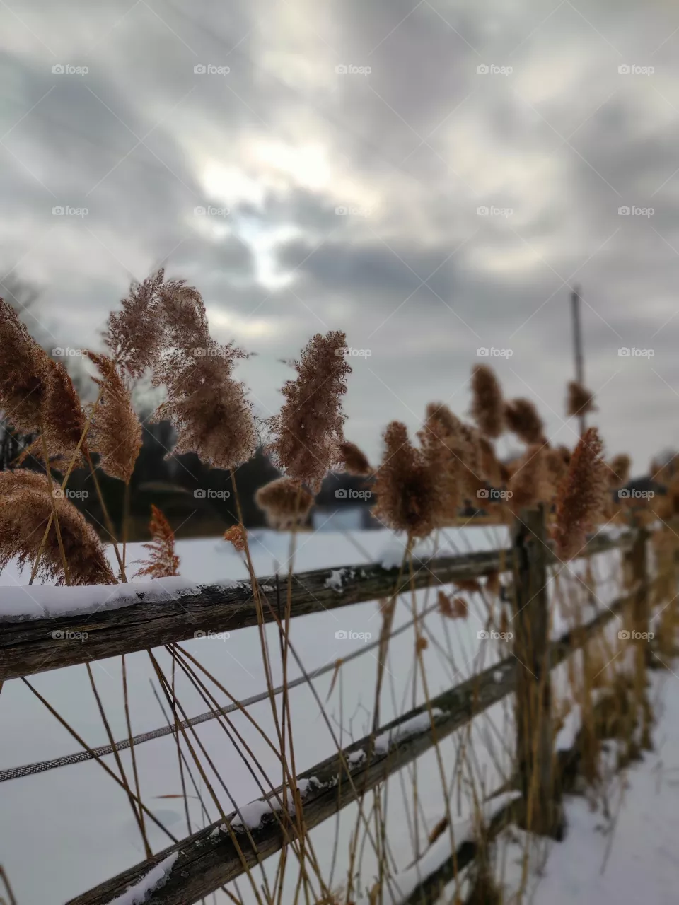 Winter mood.