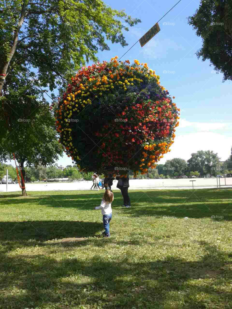 Searching for spring