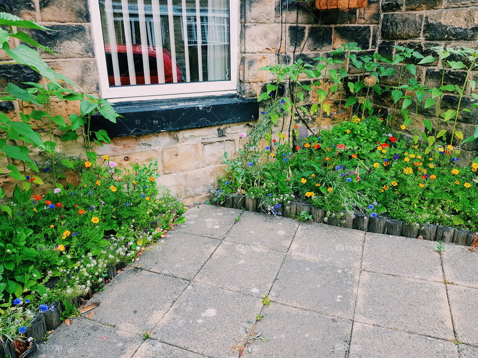 The colours of a British garden in the summertime are always so stunning. Vibrant greens, reds, yellows and blues.