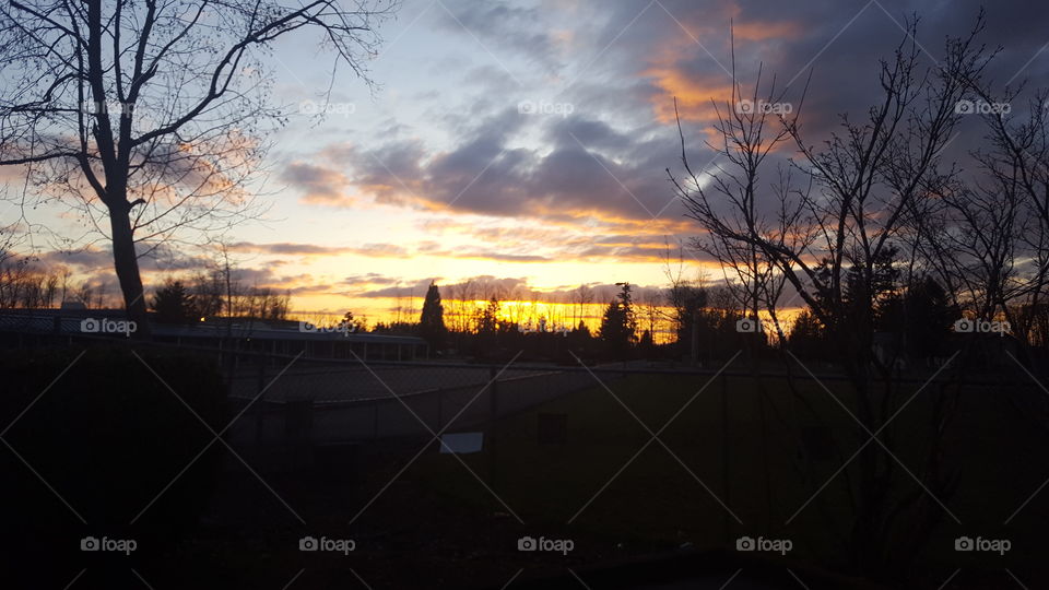 sunny Sunday afternoon