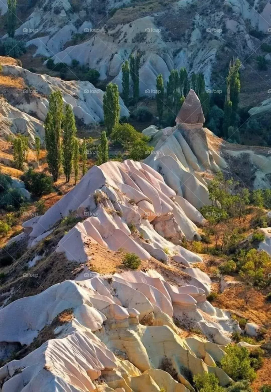Beautiful nature 