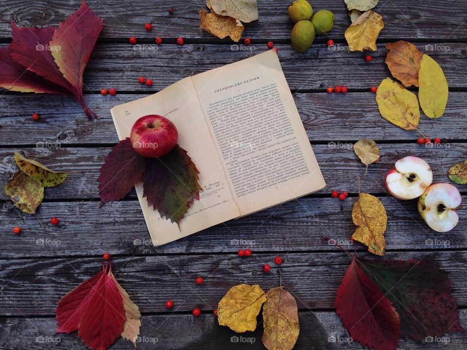 Apple leafes book and dreams. Naturemort with book and apple