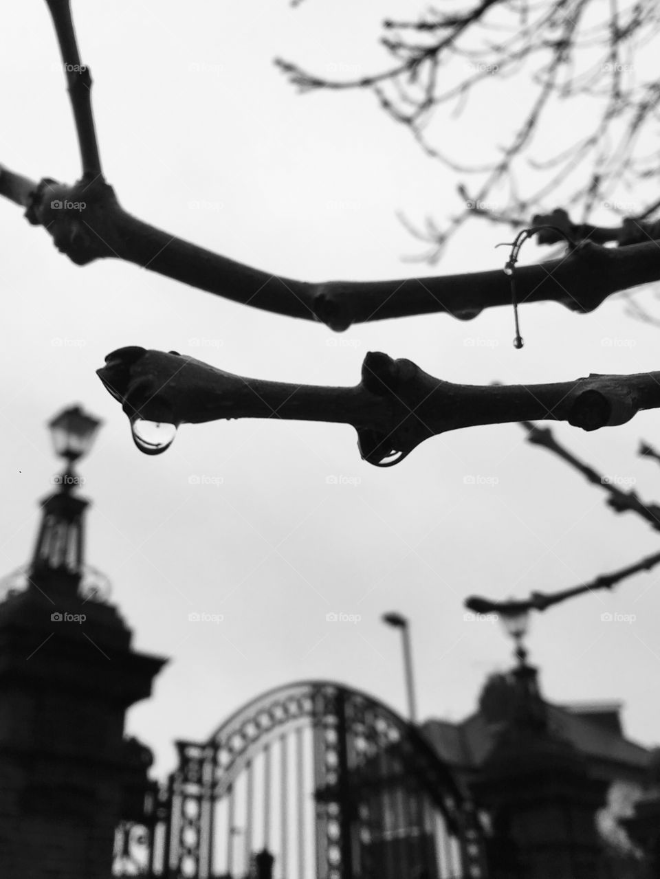 Capturing raindrops @parklife 🎥