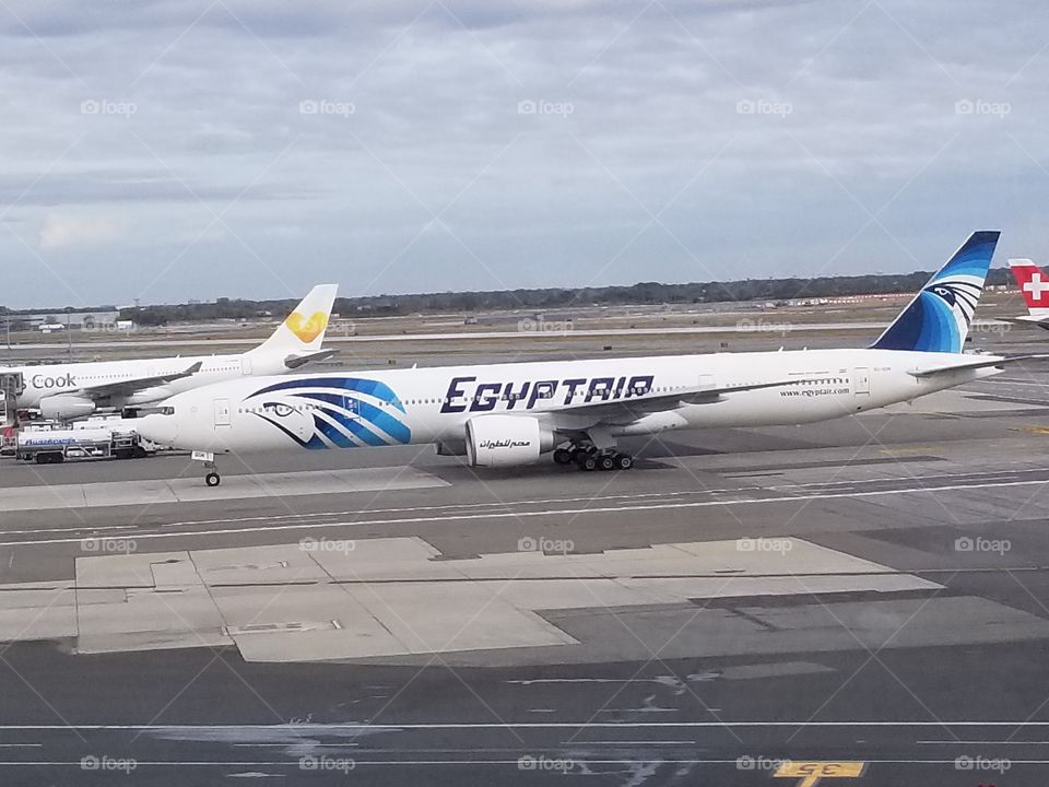 Thomas Cook to Egypt