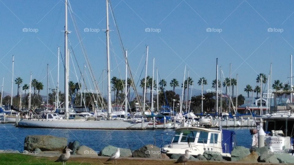 yacht docked