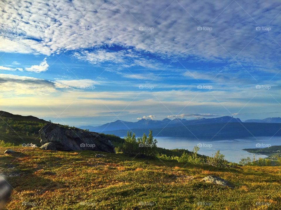 Lena Hope. Nature of Narvik