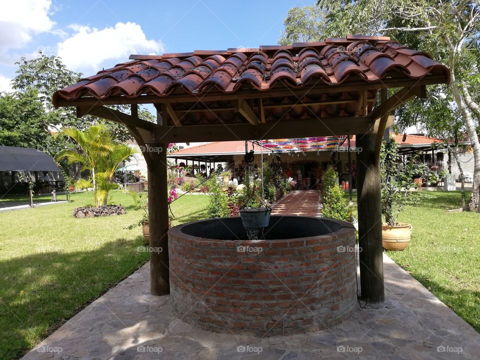 Libélula, San Pedro Sula, Honduras