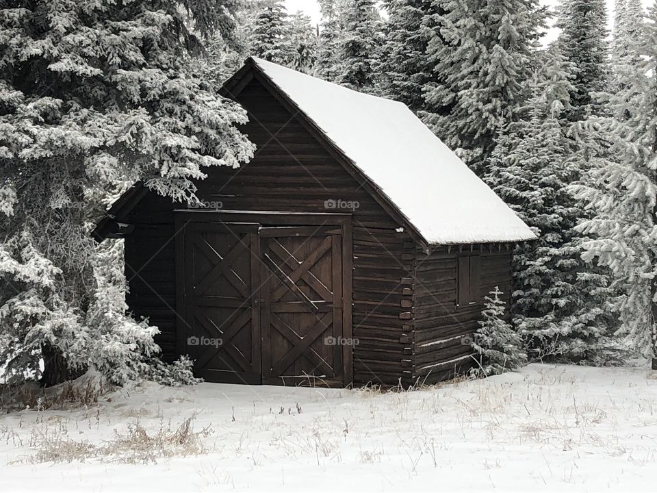 Little hut
