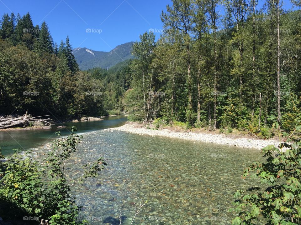 Water, Nature, Tree, No Person, River