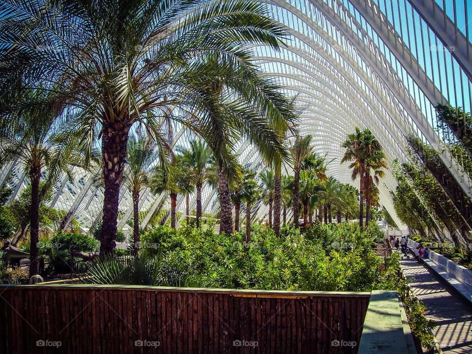 L'Umbracle, Ciudad de las Artes y las Ciencias, Valencia, Spain