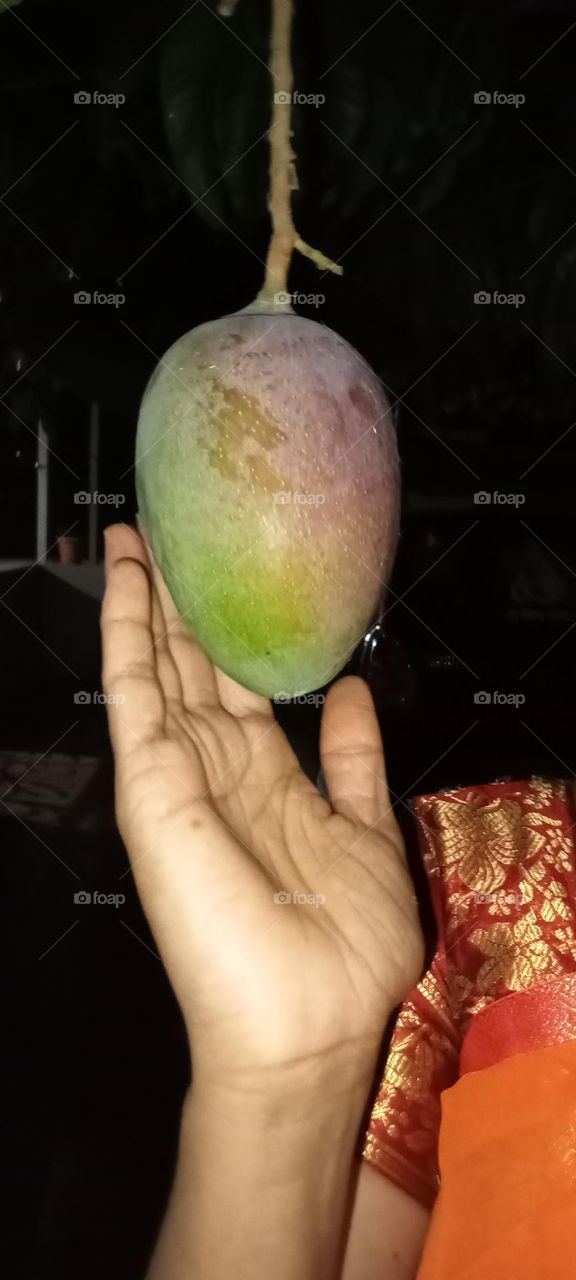 Mangoes are delicious, sweet, healthy fruit. Mango have unique, awesome taste 😋