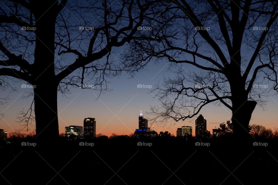 Barren oak trees from the silhouette of downtown Raleigh as seen from Dorothea Dix Park during morning twilight. 