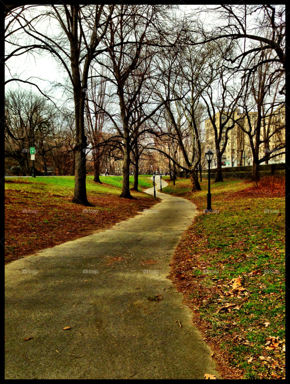 green trees new york walkway by josiah_lakoduk