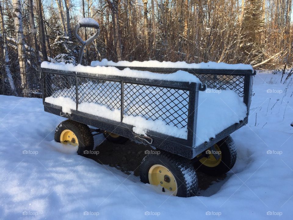 Frozen Wagon