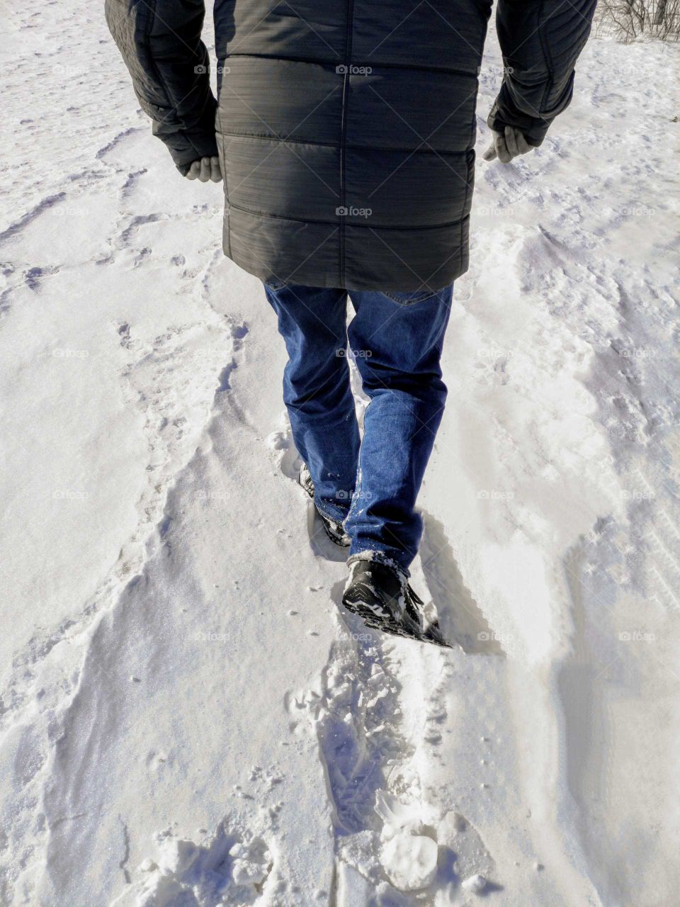 a sunny walk in the snow