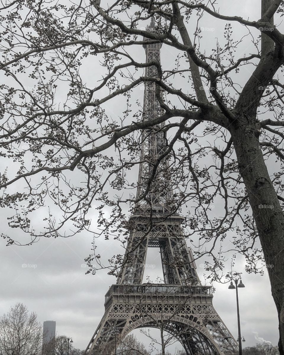 Paris Eiffel Tower France 