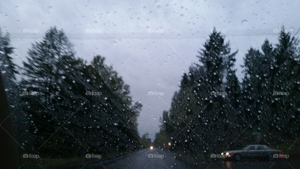 rain on windshield trees car wet road