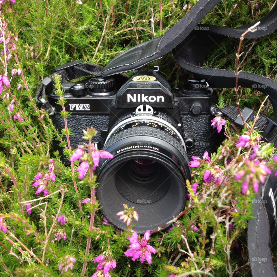 Nikon. Nikon camera in heather 