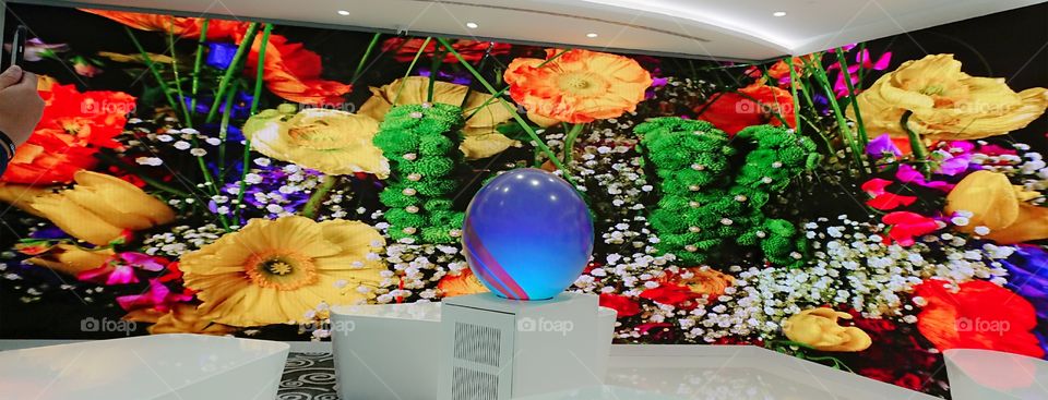 Colorful and Beautiful Backdrop