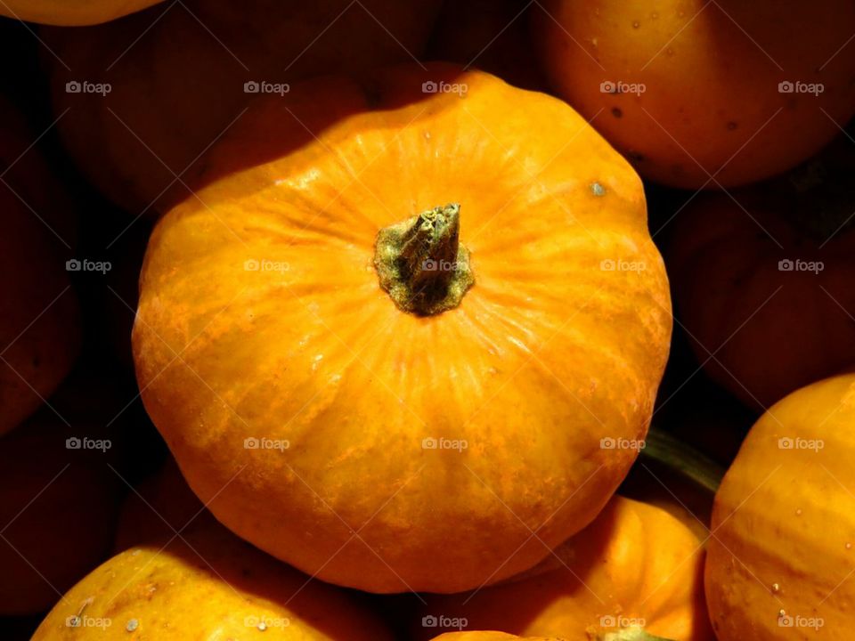 pumpkin