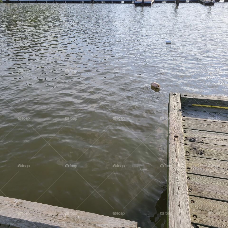 dock crabbing