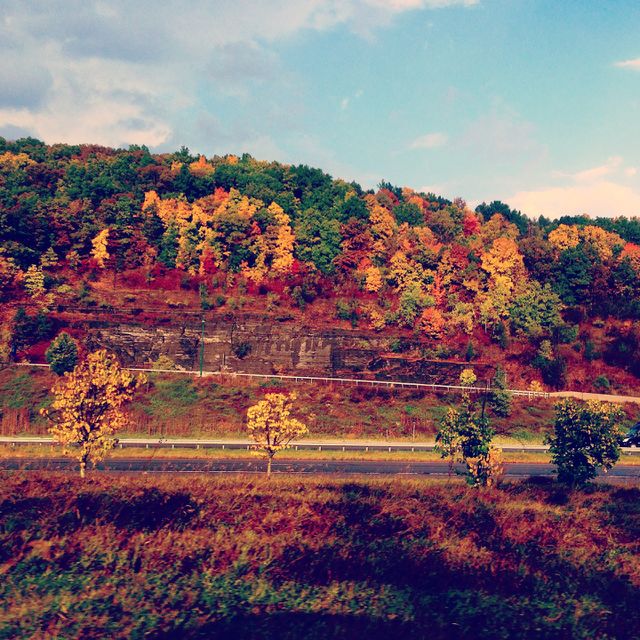 Autumn in New York