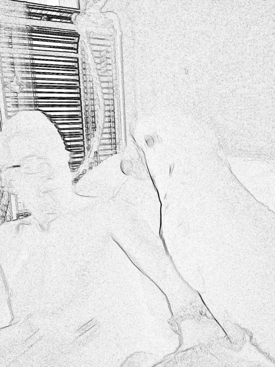 Man and Cockatoo - digital sketch 