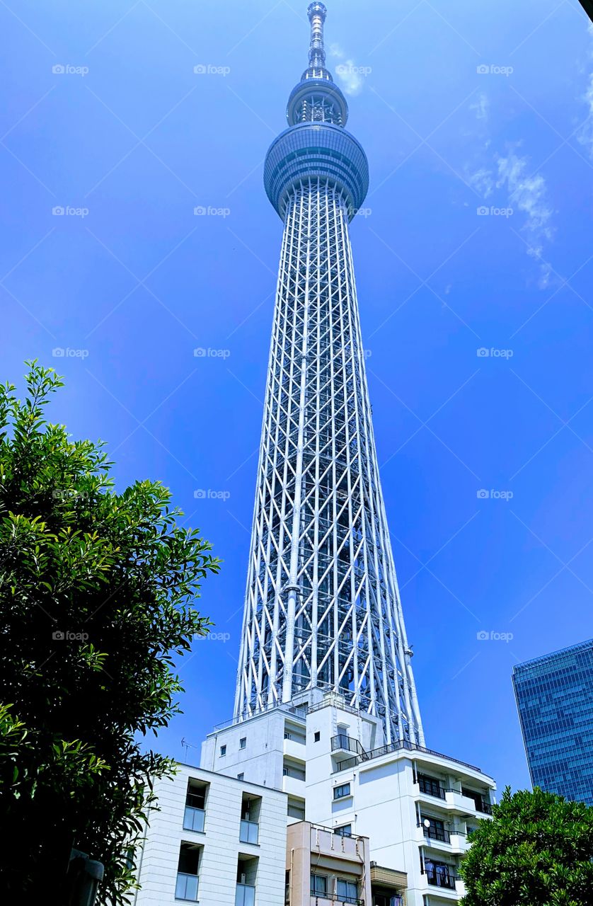 Tokyo Sky Tree