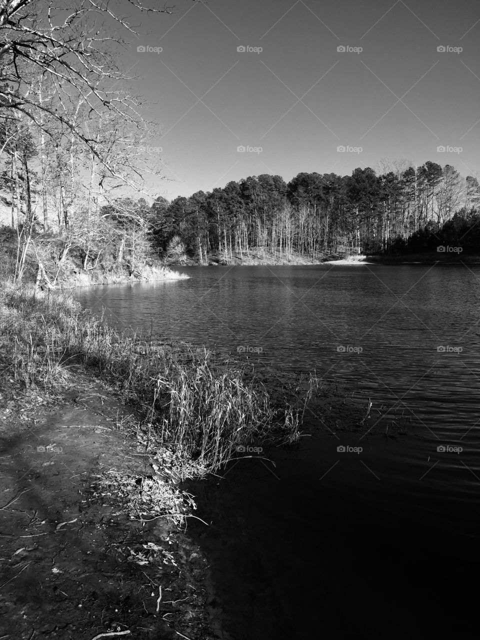 A beautiful black and white view of the lake!