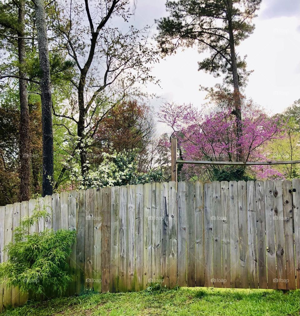 garden corner