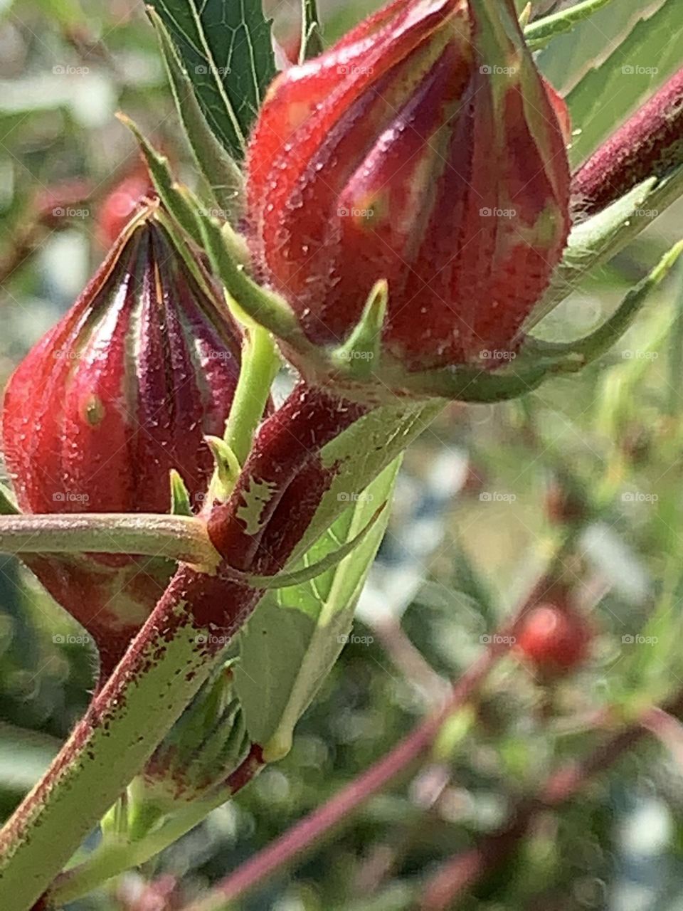 Upload your Photo of the Week.