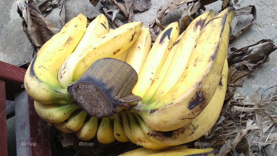 Bananas are rich in the mineral potassium which is important for maintaining heart function and blood circulation