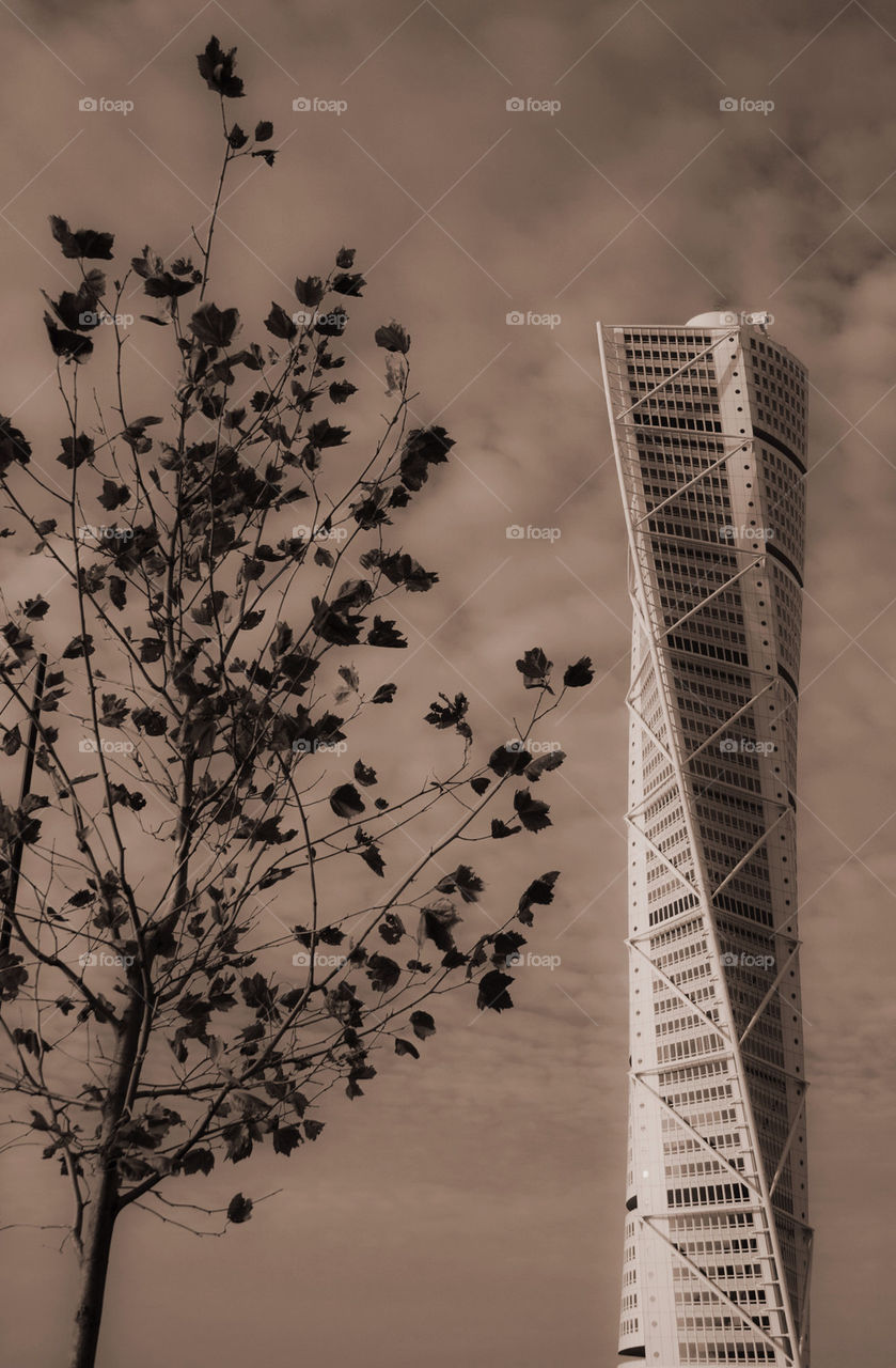 TURNING TORSO