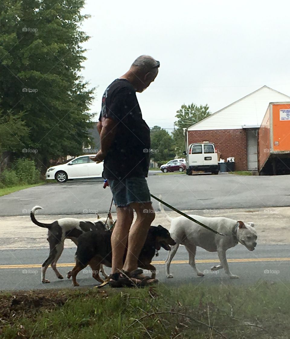 Walking the Pack