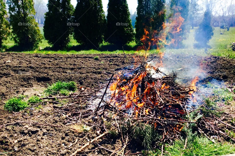 Fire
