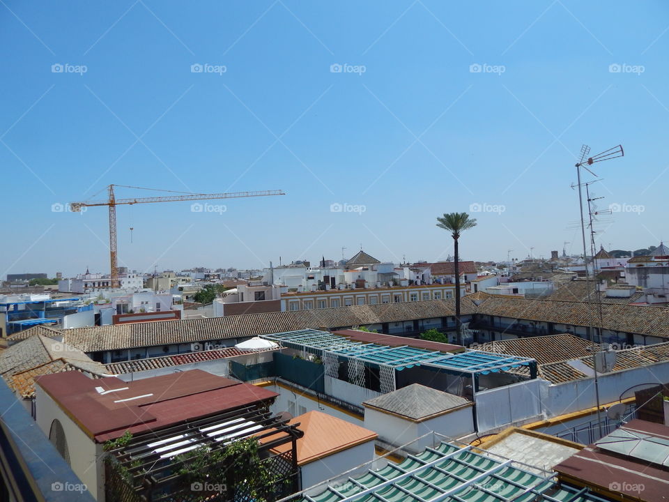 View from a rooftop hotel pool in Sevilla, Spain 