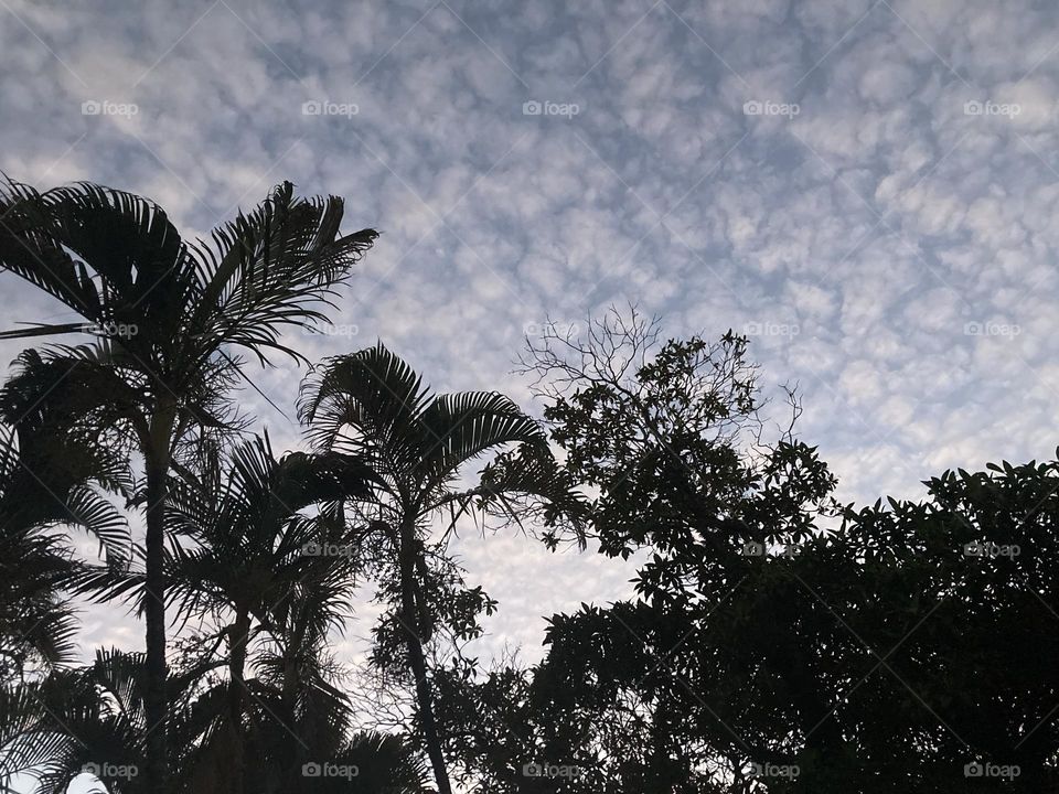 🌄🇺🇸 An extremely beautiful dawn in Jundiaí, interior of Brazil. Cheer the nature! / 🇧🇷 Um amanhecer extremamente bonito em Jundiaí, interior do Brasil. Viva a natureza! 