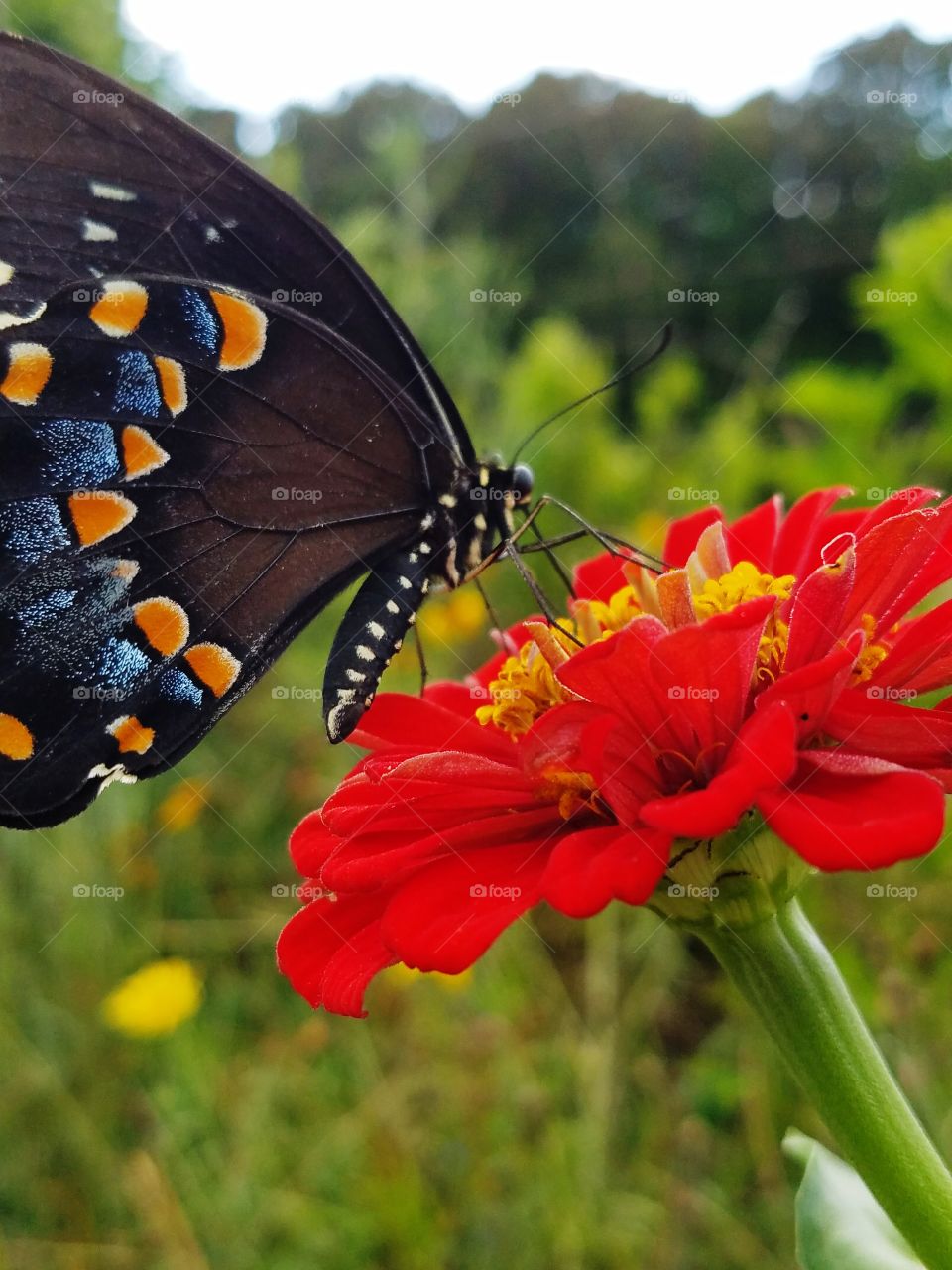 striking colours