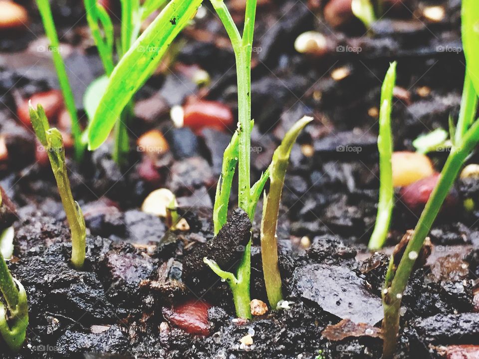 Captured with iPhone 6s Plus 