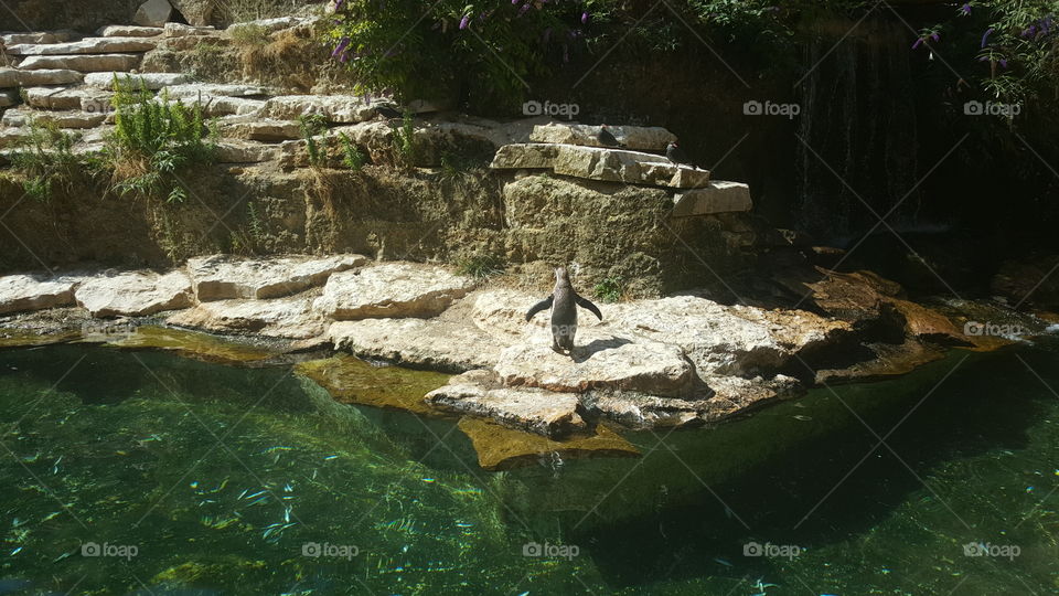 Water, No Person, Travel, Outdoors, Rock