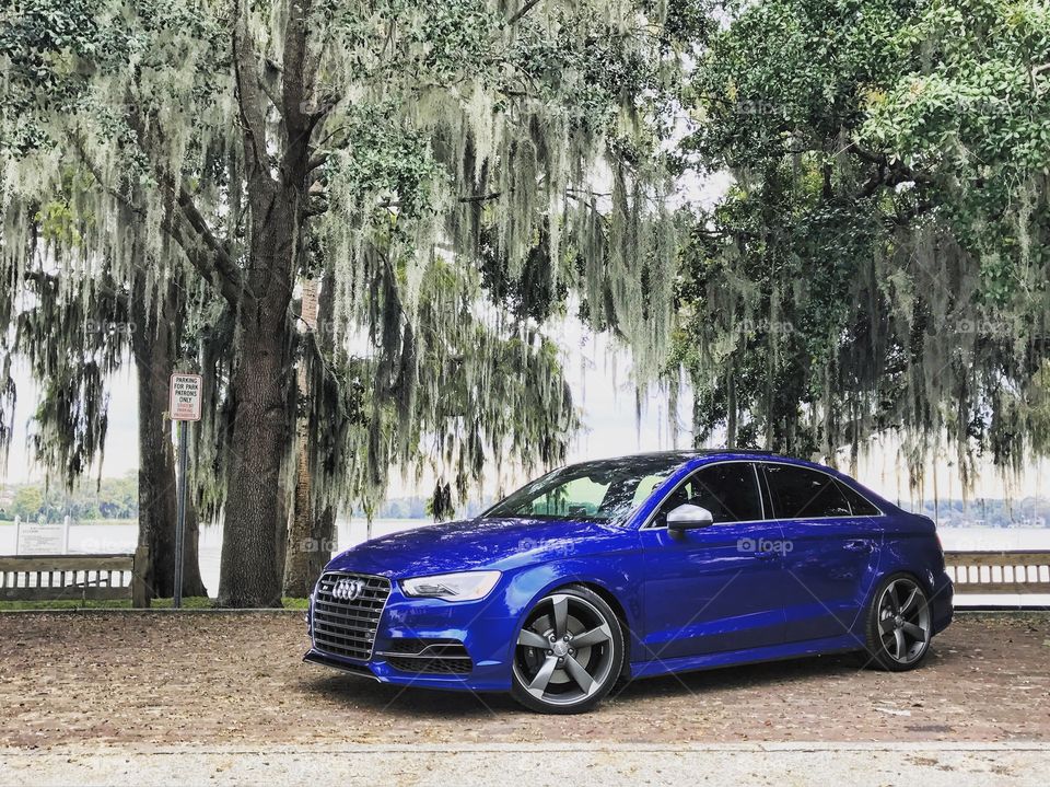 Audi S3 - Orlando