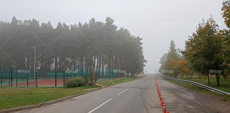 mist nature landscape and road