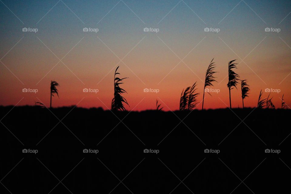 Sunset in Truro, Massachusetts 