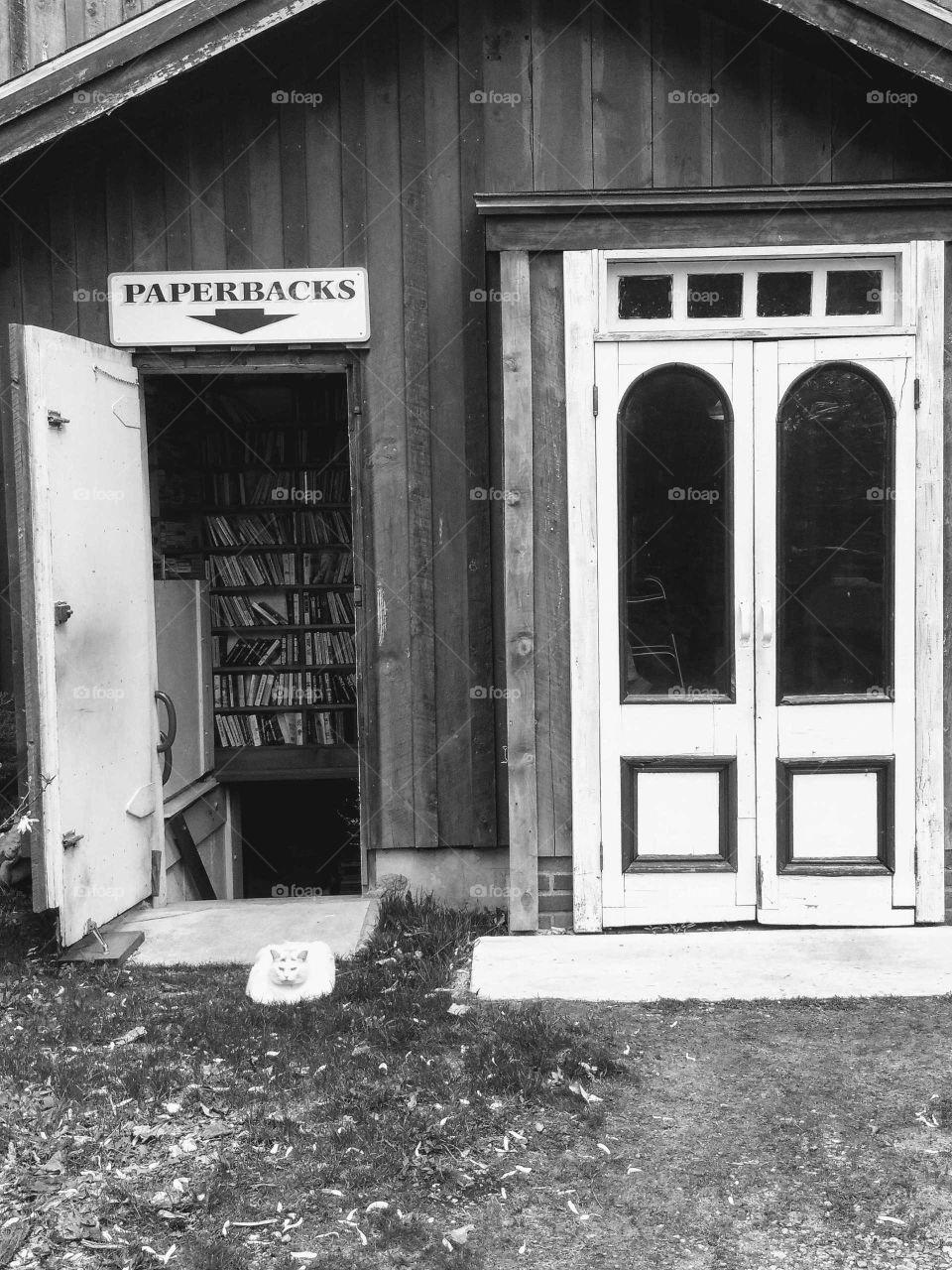 DogEars Bookstore/ Vermont