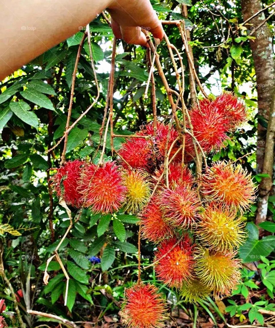 A most beautiful and attractive view.